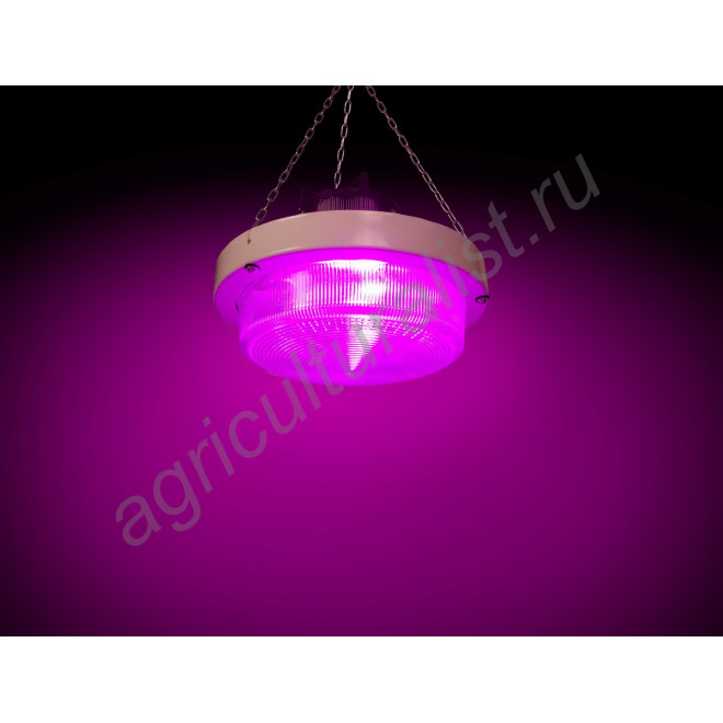 Мощный LED светильник для гроубоксов и теплиц "Хедус" 200 Вт, 24.000 lux